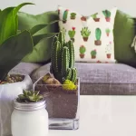 How to Incorporate Furniture, Plants and Color Into a Cohesive Home Design Scheme
